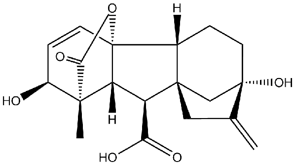 赤霉素GIBBERELLIC ACID，居然有這么神奇？